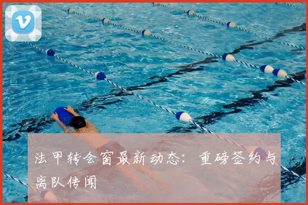 法甲转会窗最新动态：重磅签约与离队传闻